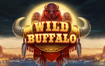 Wild Buffalo